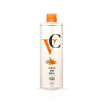 沙棘VC雙效能量水