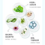 海葡萄臻顏果凍水