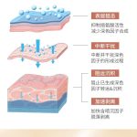 寡肽密集修護(hù)精華